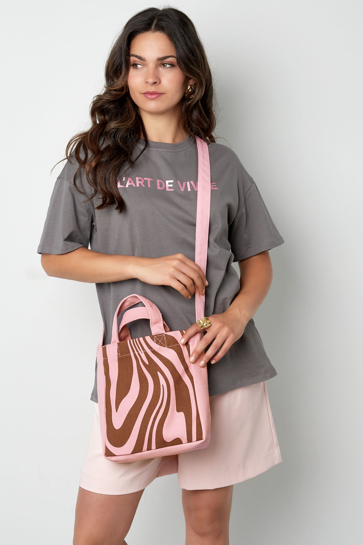 Petit sac en toile zèbre - rose marron h5 Image2